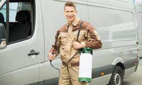 Starting your own pest control business. How To Start Up A Pest Control Business Start Up Donut