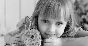 Due to unforeseen circumstances the clinic is now closed until Wednesday  17th November. In the meantime if you have an emergency please call Levin  and Horowhenua Vets