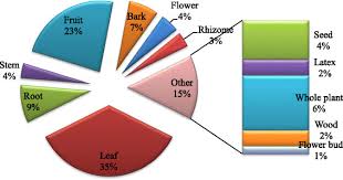 Pi Chart Representing Relative Uses Of Various Plant Parts