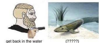 Waxes 1 , greases 2 ,and oils 3 are hydrophobic 4 , and will not intermingle with pure water. Get Back In The Water Tiktaalik Know Your Meme