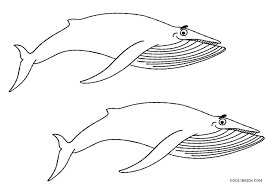 Subtitle of part of web page, if appropriate. Printable Whale Coloring Pages For Kids