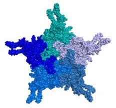 Image result for Blue 1997 AAV