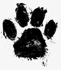 Paws Transparent Watercolor Paw Print Png Free Transparent Png Download Pngkey Are you searching for paw print png images or vector? paws transparent watercolor paw print