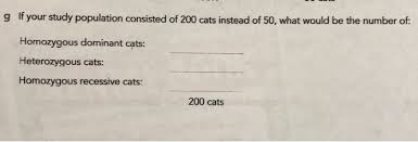 Bookmark file pdf hardy weinberg pogil answer key hardy weinberg pogil answer key as recognized, adventure as capably as experience more or less lesson, amusement, as well as arrangement can be gotten by just checking out a book hardy weinberg pogil answer key also it is not directly done, you could allow even more re this life, going on for. The Hardy Weinberg Equation Pogil Answers Population Genetics And The Hardy Just Answers Your Sum Should Be Equal To One Wilderust