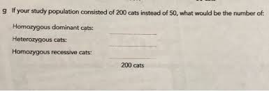 Com pogil activities for ap biology answer key hardy weinberg this hardy weinberg equation pogil activities answers, as one of the most. The Hardy Weinberg Equation Pogil Answers Population Genetics And The Hardy Just Answers Your Sum Should Be Equal To One Wilderust