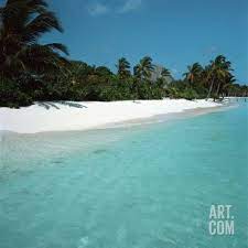 Shallow Water Near A Tropical Beach Photographic Print Art Com Beach Posters Vacation Trips Beach