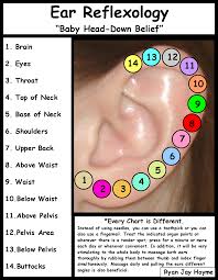 Head Reflexology Reflexology Charts Microsoft Word