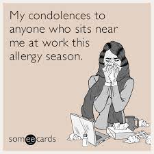 Today S News Entertainment Video Ecards And More At Someecards Someecards Com Allergies Funny Allergy Season Allergies Quote