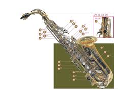 Latest official/unofficial mobile bd price in bangladesh 2021. A Guide To Playing Altissimo Saxophone Making Music Magazine