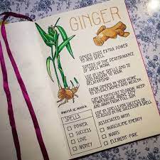 No Photo Description Available Wiccan Spell Book Grimoire Book Magick