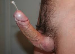 Кончающие мужские члены (44 фото) - скачать порно