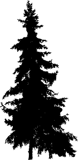 Pine Tree Silhouette 3 Png 977 2000 Pine Tree Silhouette Tree Silhouette Tree