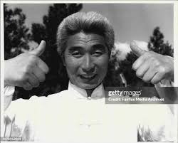 81 Hen And Chicken Bay Stock Photos, High-Res Pictures, and Images