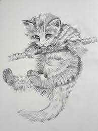 Tatli Kedi Cizimi Karakalem Google Arama 2020 Cizimler Drawing Sanat