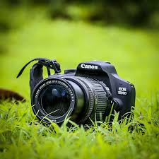 Canon camera 1500D | Blur background photography, Photoshop digital  background, Studio background images