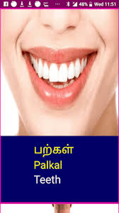 This is my body grade/level: Learn Tamil Wildlife And Body Parts Names Download Apk Free For Android Apktume Com