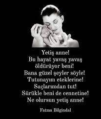 Fatma Bilgindal Publications Facebook