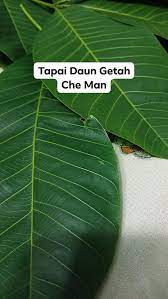 In sya allah ada jalannya. Facebook