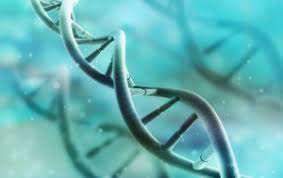 Was Ist Down Syndrom Trisomie 21 Ursachen Symptome Behandlung Krank De