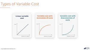 International accounting standard 23 defines finance costs as interest and other costs that an entity incurs in connection with the borrowing of funds. Variable Costs Examples Formula Guide To Analyzing Costs