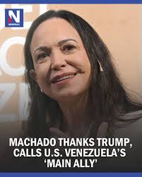 Some tropical fruits you will find in almost every yard in Essequibo