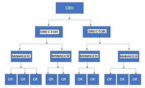 image result for organizational structure examples small