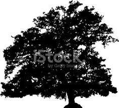Maybe you would like to learn more about one of these? Oak Tree Silhouette Vector Clipart Image