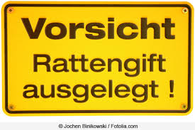 Für den zweitwohnsitz herrscht meldepflicht. Meldepflicht Bei Ratten Im Garten Alle Informationen Gartenlexikon De