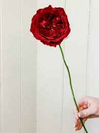 Valentine's day, anniversary and congratulations background. Which Red Roses Do You Choose For Valentine S Day Thursd