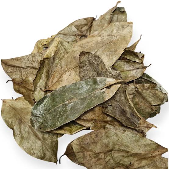 Feuilles de Corossol Séchées - Graviola (Annona muricata) 25g - Boutique Wangoods