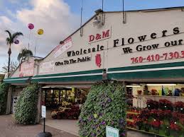 Over 50 individual vendors answer all your floral needs. D M Wholesale Florist 3208 La Mirada Dr San Marcos Ca 92078 Usa