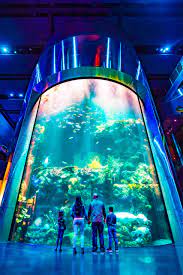 Maybe you would like to learn more about one of these? It S Official Johnny Morris Wonders Of Wildlife Once Again Named 1 Aquarium In North America Amusement Today