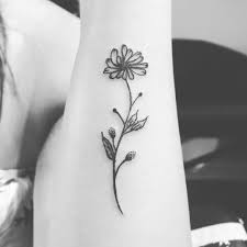 They were put in tombs of french soldiers, symbolizing the grief and memory of victims. Top 53 Best Aster Flower Tattoo Ideas 2021 Inspiration Guide