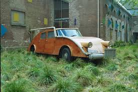 Image result for Noyer Americain 2011 Citroen