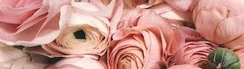 Nous vous proposons de nombreux codes promotions a utiliser lors de vos achat dans la boutique 123 fleurs. Code Promo 123 Fleurs Remises Et Avantages Inedits 12 Offres