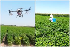 Alibaba.com offers 1,067 dog sprinkler products. Agronomy Free Full Text Comparison Of Droplet Deposition Control Efficacy On Phytophthora Capsica And Aphids In The Processing Pepper Field Of The Unmanned Aerial Vehicle And Knapsack Sprayer Html