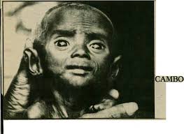 Bulmer discusses Iranian situation