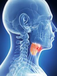 If the throat cancer is located in the upper section of the throat, diagnosis can usually be made by looking into the mouth. Laryngeal Cancer Treatment Prognosis And More