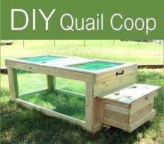 Dec 07, 2013 · 11: Diy Quail Coop