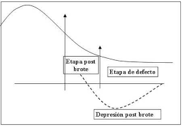 Podríamos definir un brote psicótico como una ruptura temporal de la realidad. Etapas En La Esquizofrenia Persum Psicologos Oviedo Asturias