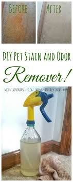 Diy Pet Stain And Odor Remover Mountain Mamas Blog Pet Stains Pet Cleaner Urine Stains