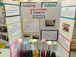 Food Coloring Science Fair Projects Science Fair Projects Elementary Science Fair Projects Kids Science Fair Projects