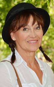 Jan Šafránek (1948)