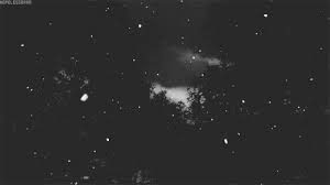 Black And White Anime Aesthetic Gif Https Encrypted Tbn0 Gstatic Com Images Q Tbn 3aand9gcr9xhg8ty 53sc Pmz3hkb0b9zoszji5xhu9w Usqp Cau