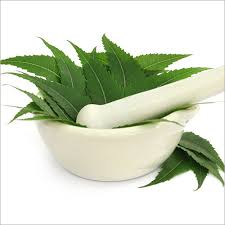 Check spelling or type a new query. Neem Leaves Manufacturers Neem Leaf Suppliers Exporters