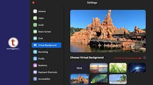 Add Some Disney Spirit To Your Virtual Meeting How To Change Your Zoom Background Touringplans Com Blog