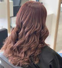 Check these cool ideas out and change your look! 20 Best Mahogany Hair Colour Ideas For 2019