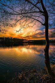 Only 1 Tree Beautiful Nature Nature Photography Scenery