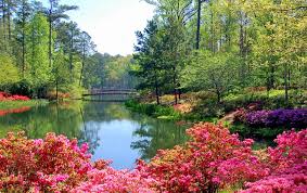 Georgia is situated in the south east of the usa and is one of the largest states in the country, founded in the 13th century as one of the first the landscape varies considerably from mountains, forested ridges, caves, farms and orchards, swampland and the coastline with its tidal marshes. 12 Top Rated Tourist Attractions In Georgia Planetware