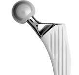 Artroplastia total de quadril (ATQ)